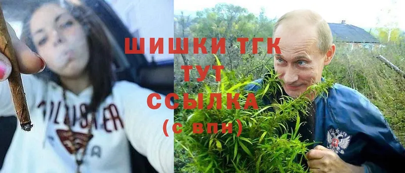 Марихуана сатива  Тавда 